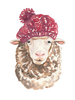 Greeting Card - Sheep