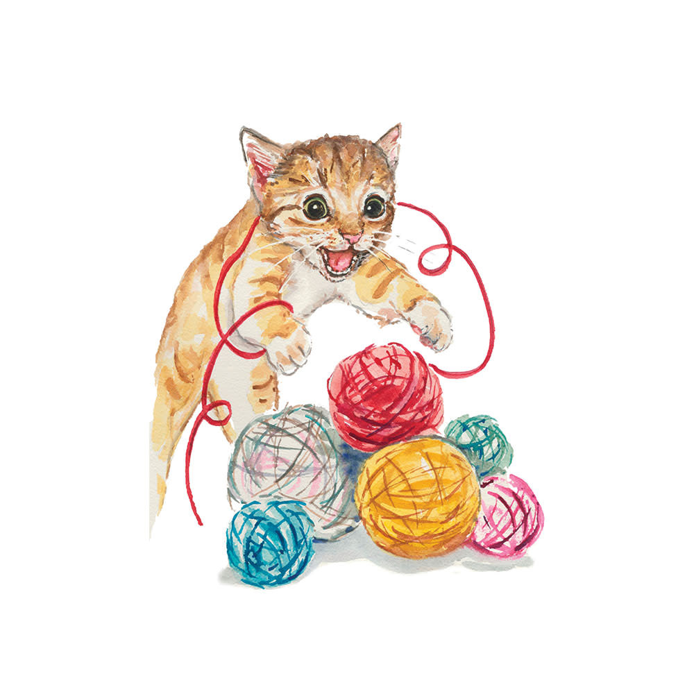 Greeting Card - Cat Greeting Card - Cat