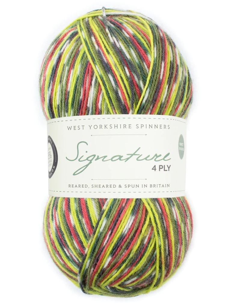 West Yorkshire Spinners WYS Signature 4 Ply - Green Woodpecker