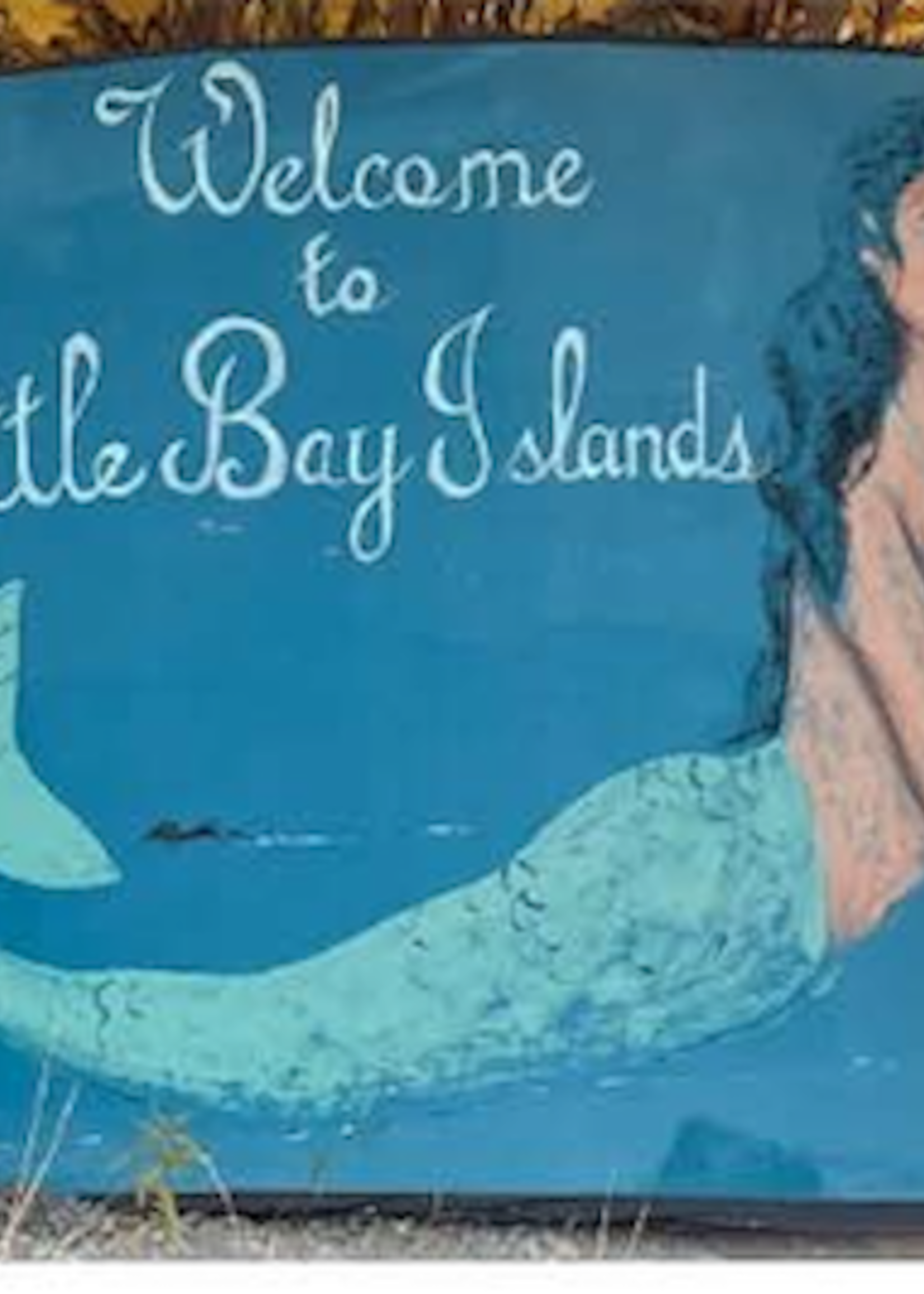 Briggs and Little Little Bay Islands Mittens Kit with Pattern