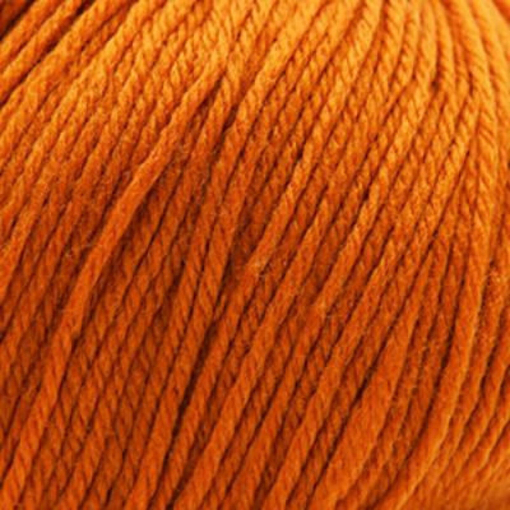 Cascade Cascade 220 Superwash - 368 Marmalade
