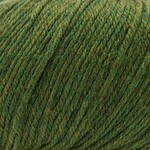 Cascade Cascade 220 Superwash -  376 Irelande