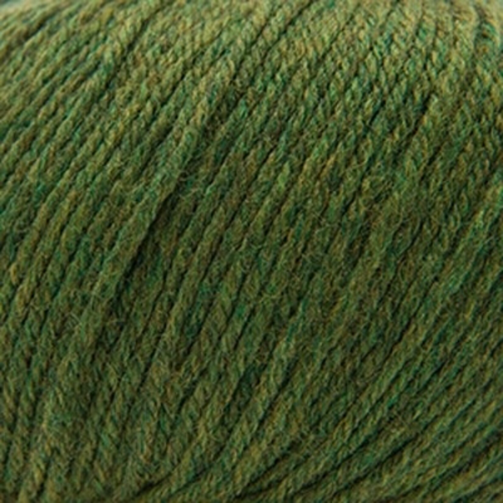 Cascade Cascade 220 Superwash -  376 Irelande