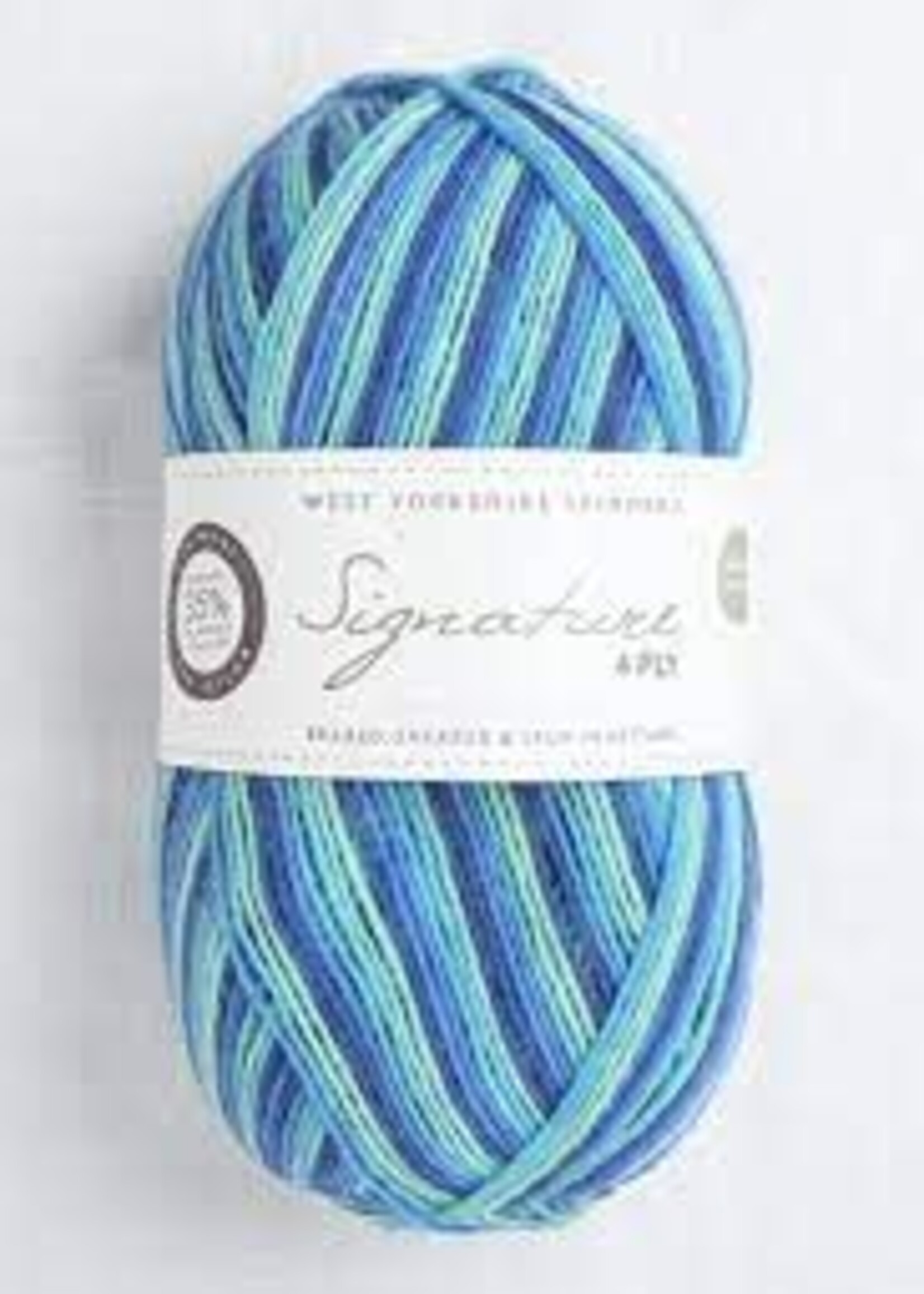 WYS Signature 4 Ply Cocktails - Blue Lagoon 831