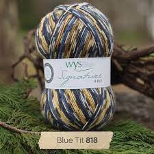 West Yorkshire Spinners WYS Signature 4 Ply - Blue Tilt 818