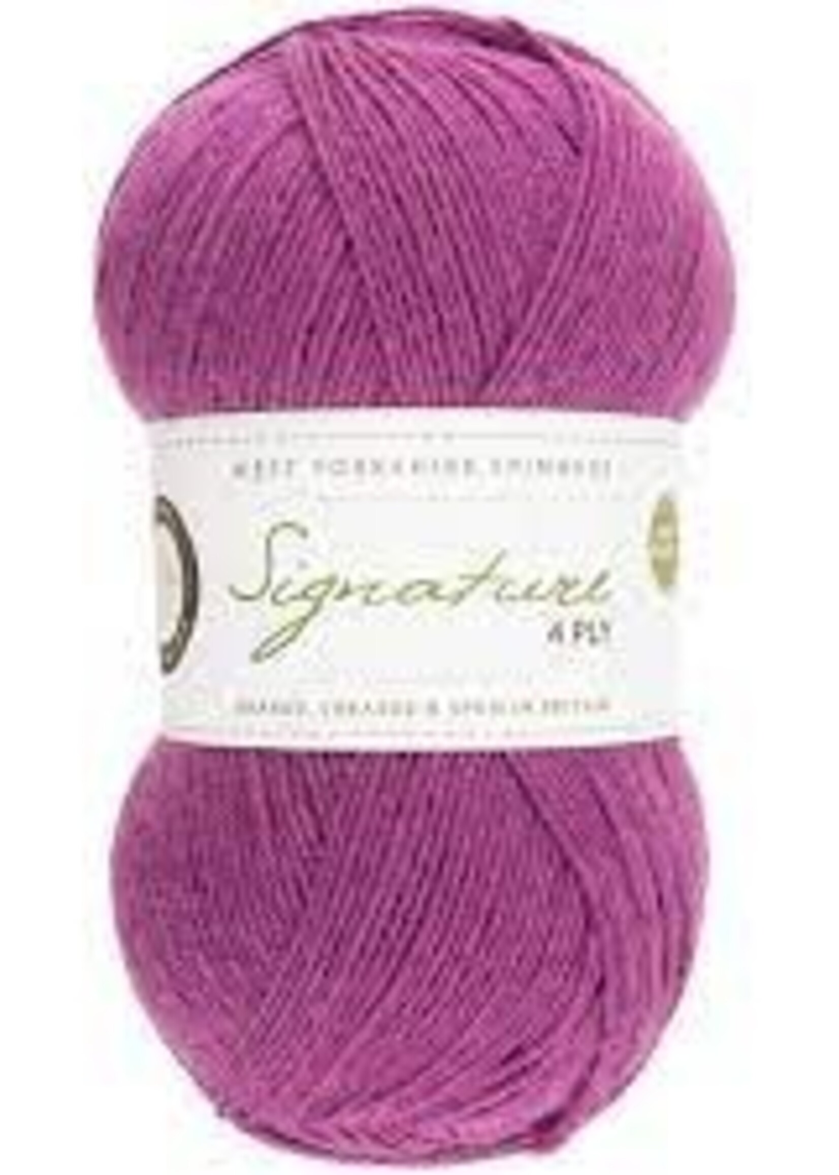WYS Signature 4 Ply Solids - Black Currant Bomb 735