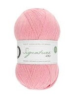 WYS Signature 4 Ply Solids - Honeysuckle 234