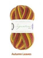 West Yorkshire Spinners WYS Signature 4 Ply - Autumn Leaves 885
