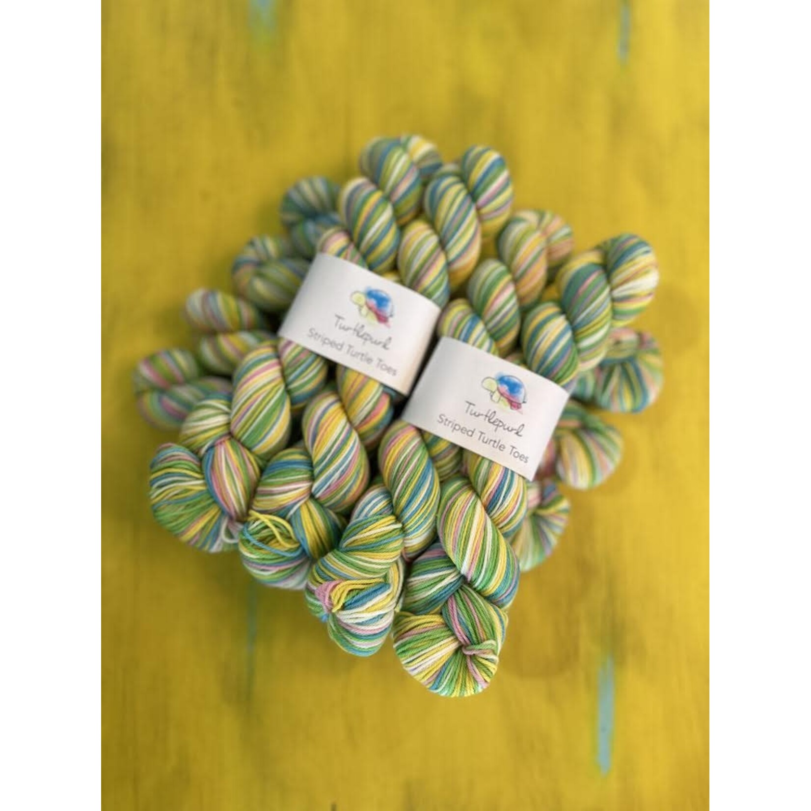 Turtlepurl - Cast On! Cast Off! Custom Colour Way