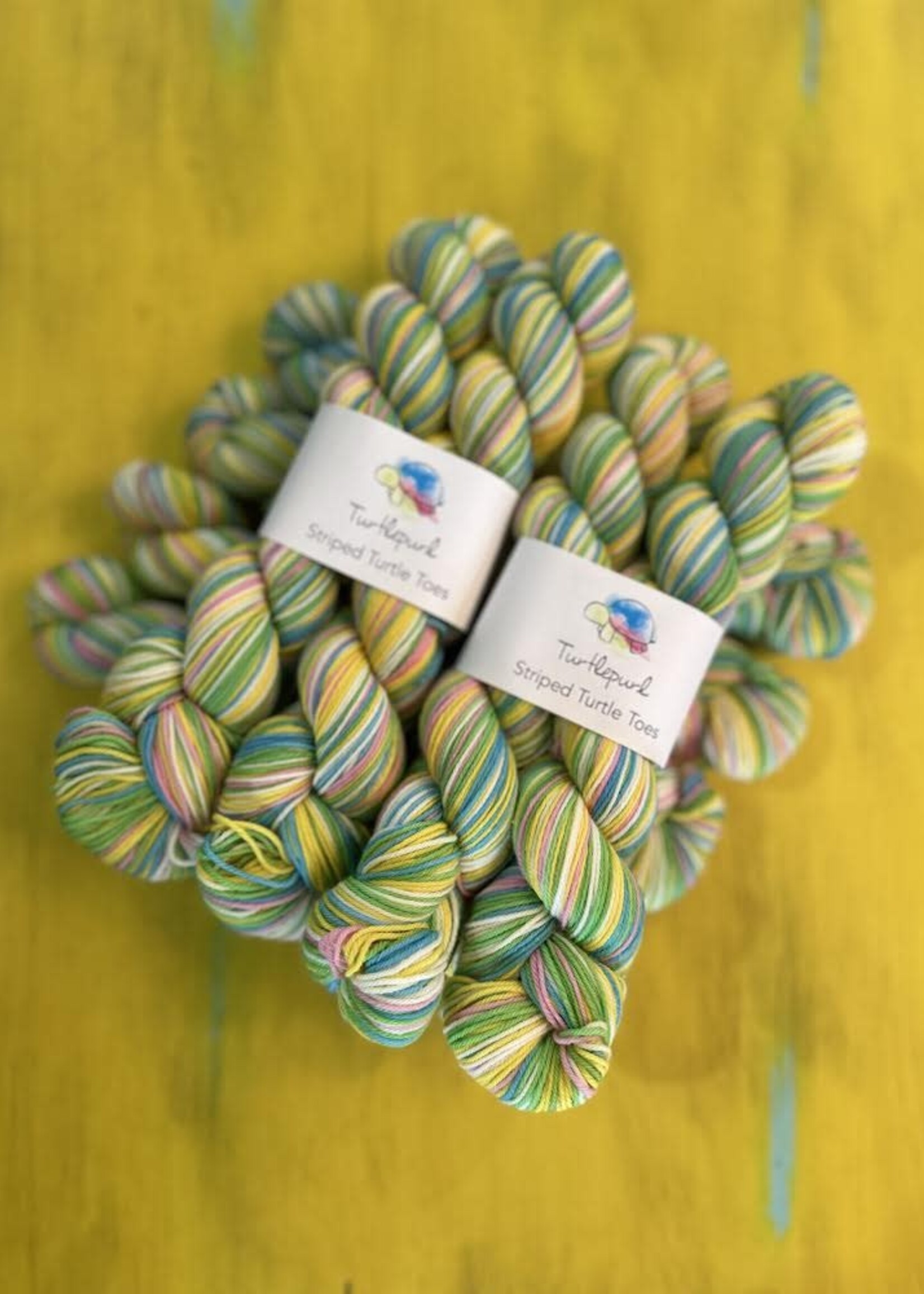 Turtle Purl Turtle Purl - Cast On! Cast Off! Custom Colour Way