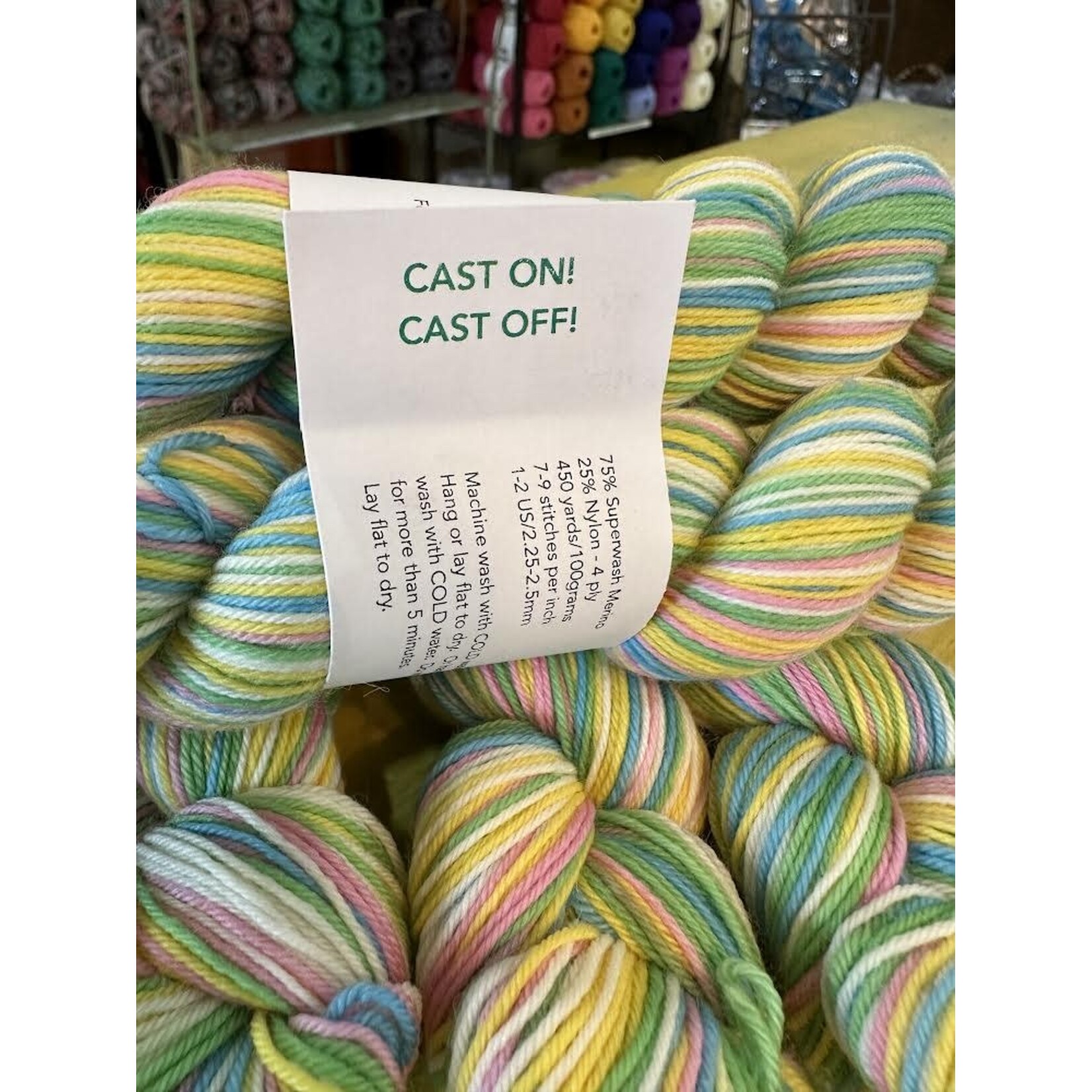 Turtlepurl - Cast On! Cast Off! Custom Colour Way