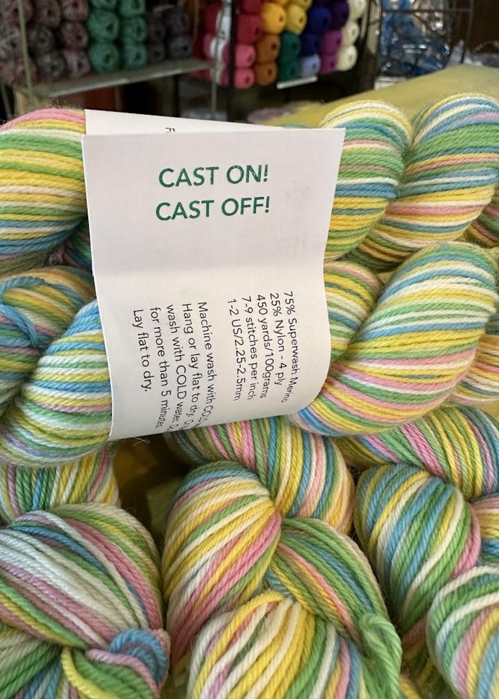 Turtle Purl Turtle Purl - Cast On! Cast Off! Custom Colour Way