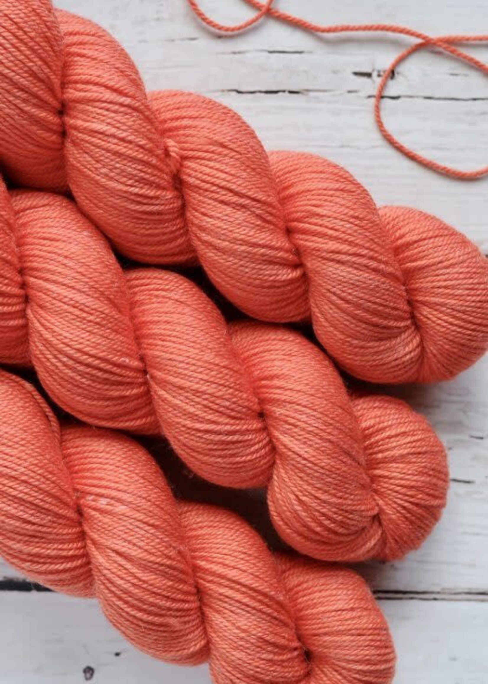 Julie Asselin JA Leizu DK Clementine
