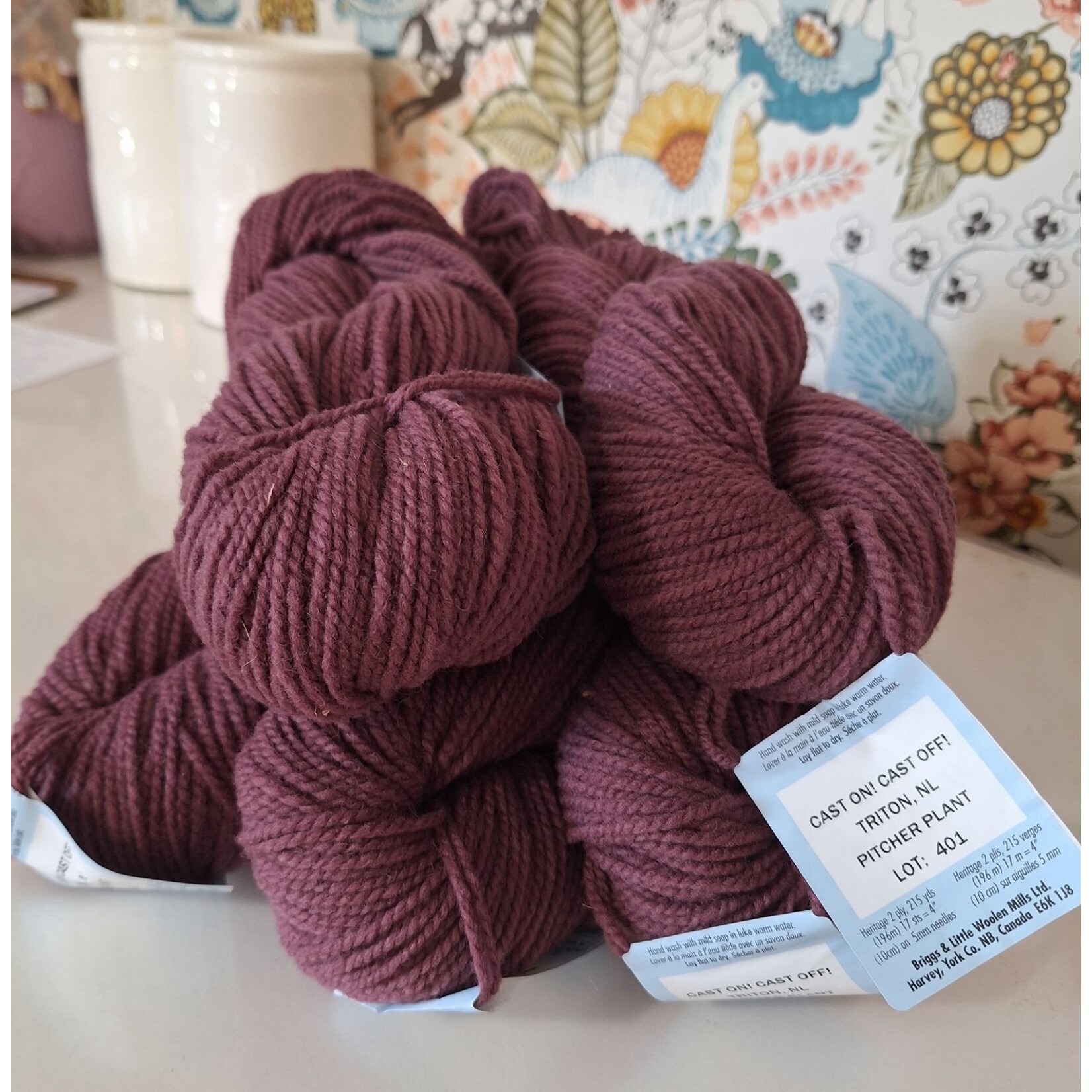 Briggs and Little BL Heritage - Pitcher Plant by COCO