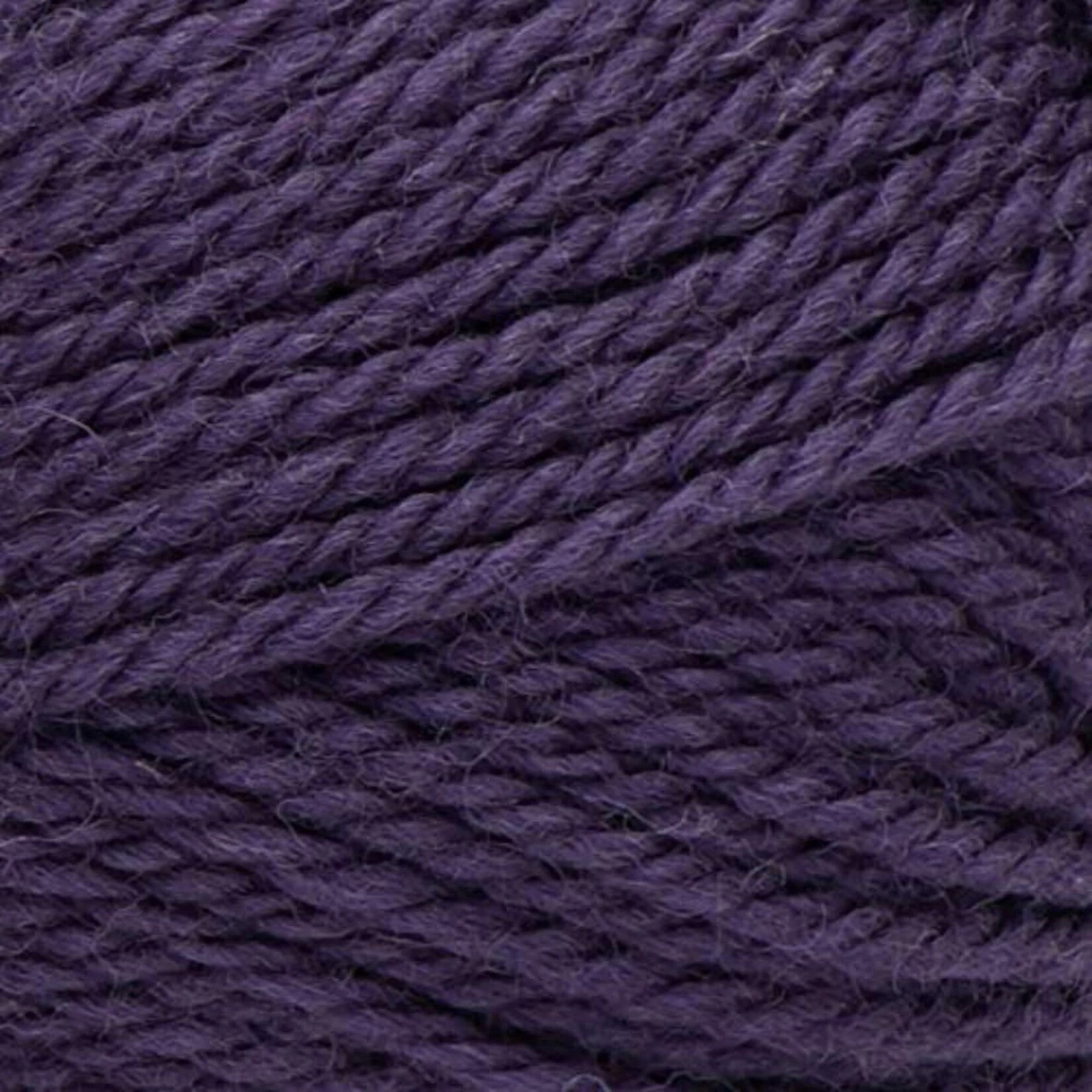 Patons Patons Classic Wool - Purple Night