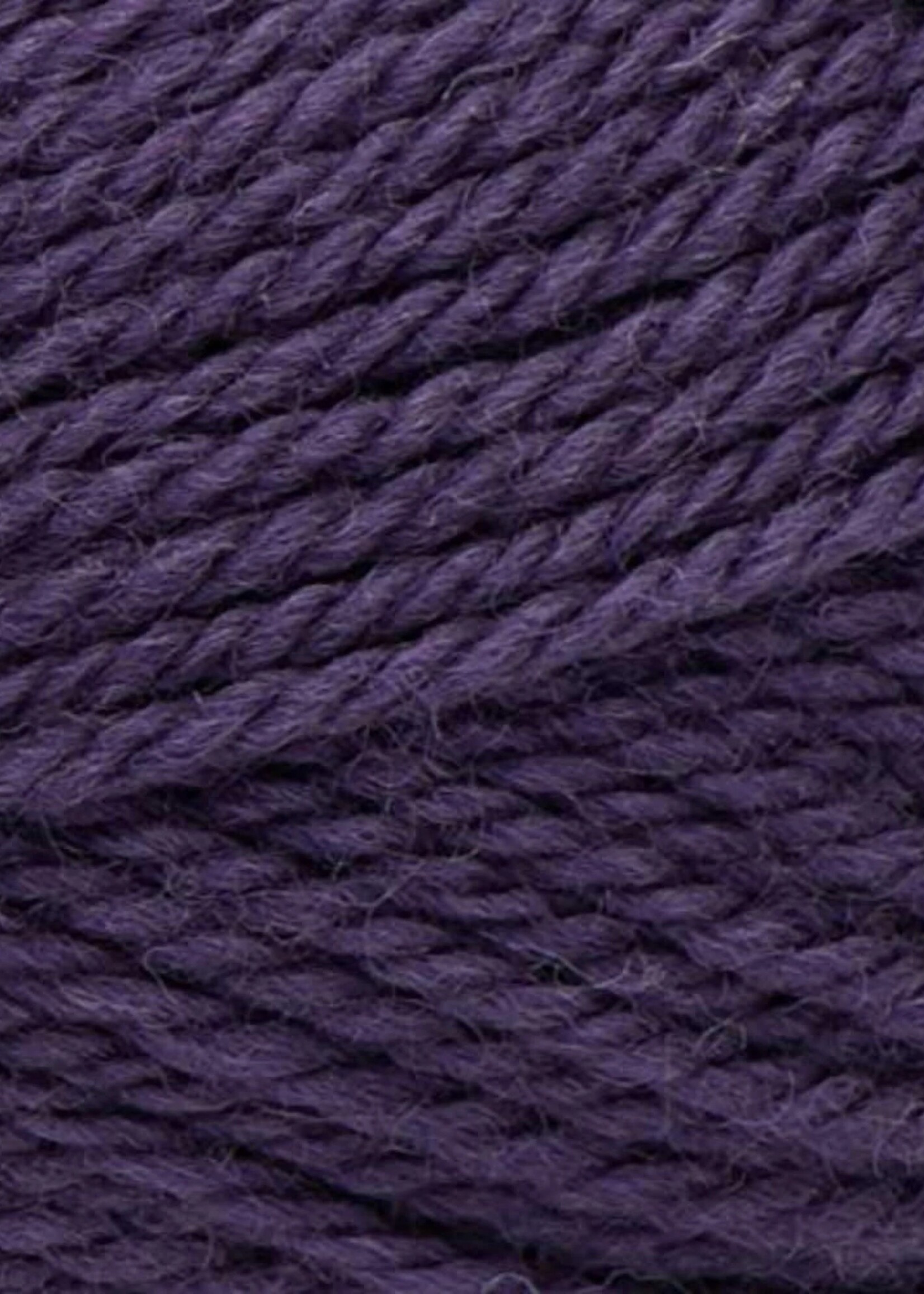Patons Patons Classic Wool - Purple Night
