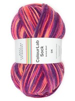 WYS Colour Lab DK Sock - Jazz 1198