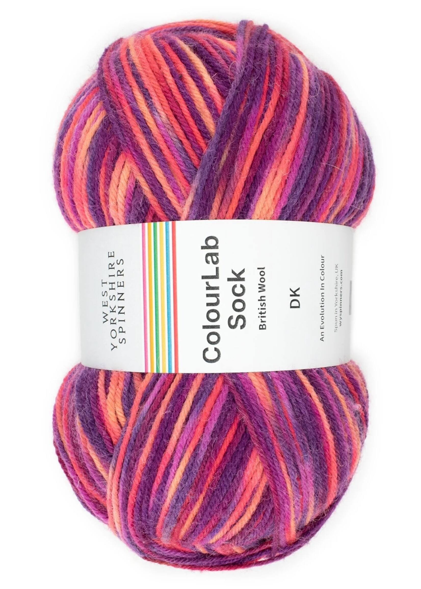 WYS Colour Lab DK Sock - Jazz 1198