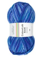 WYS Colour Lab DK Sock - Blues 1200