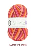 WYS Signature 4 Ply - Summer Sunset 881