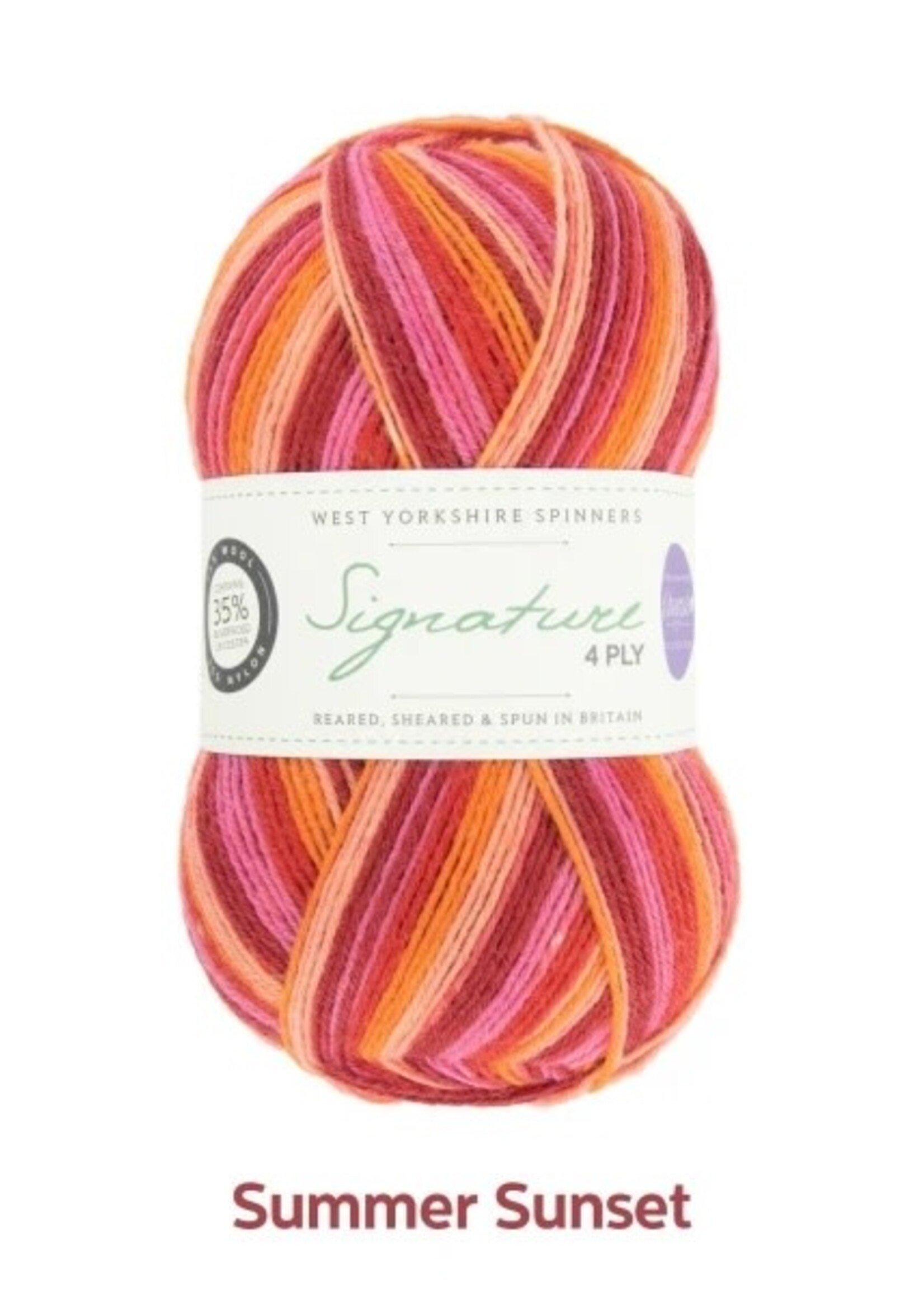 WYS Signature 4 Ply - Summer Sunset 881