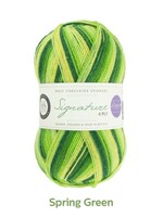 West Yorkshire Spinners WYS Signature 4 Ply - Spring Green 882