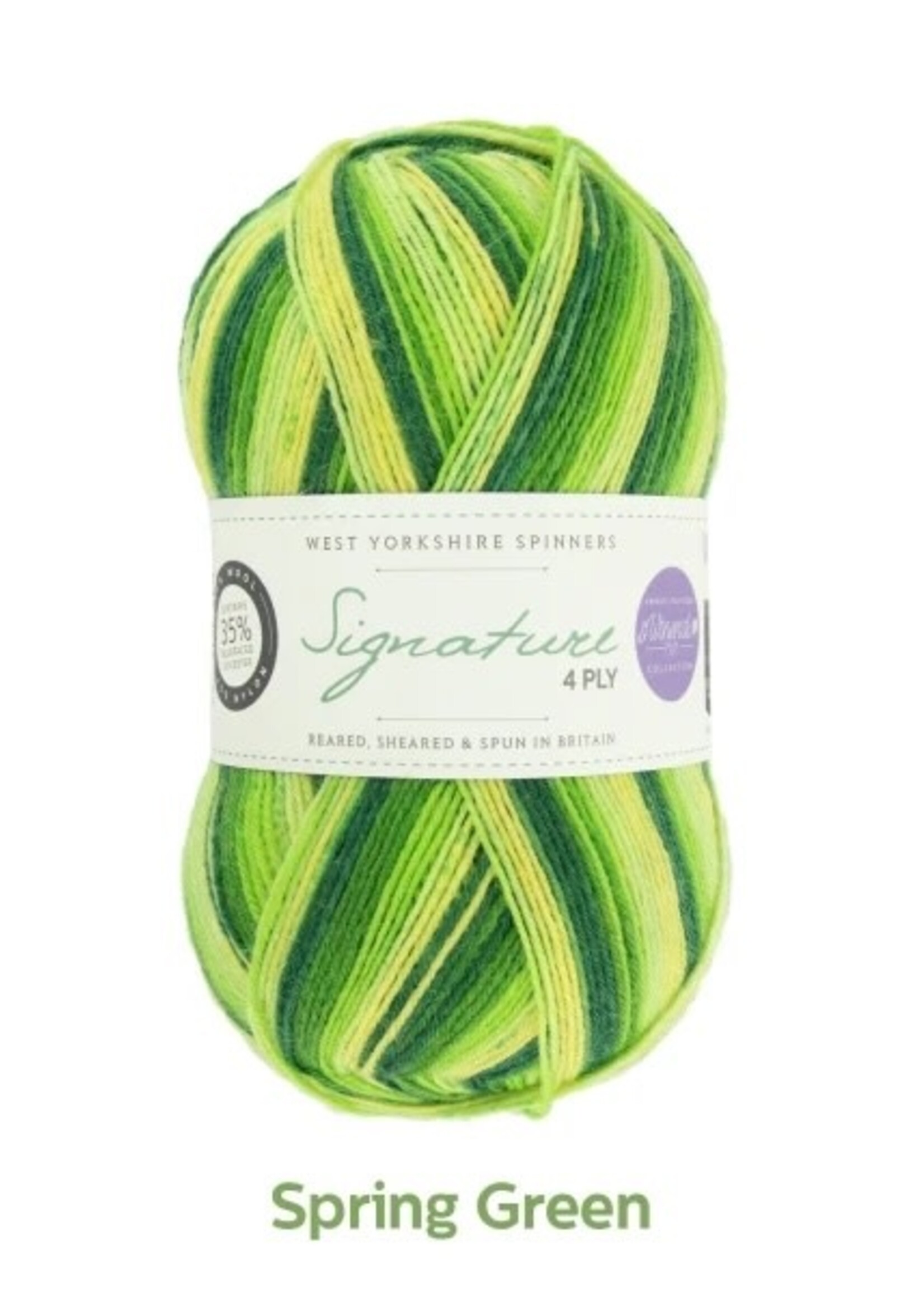 West Yorkshire Spinners WYS Signature 4 Ply - Spring Green 882