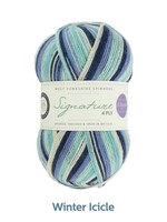 West Yorkshire Spinners WYS Signature 4 Ply - Winter Icicle 878