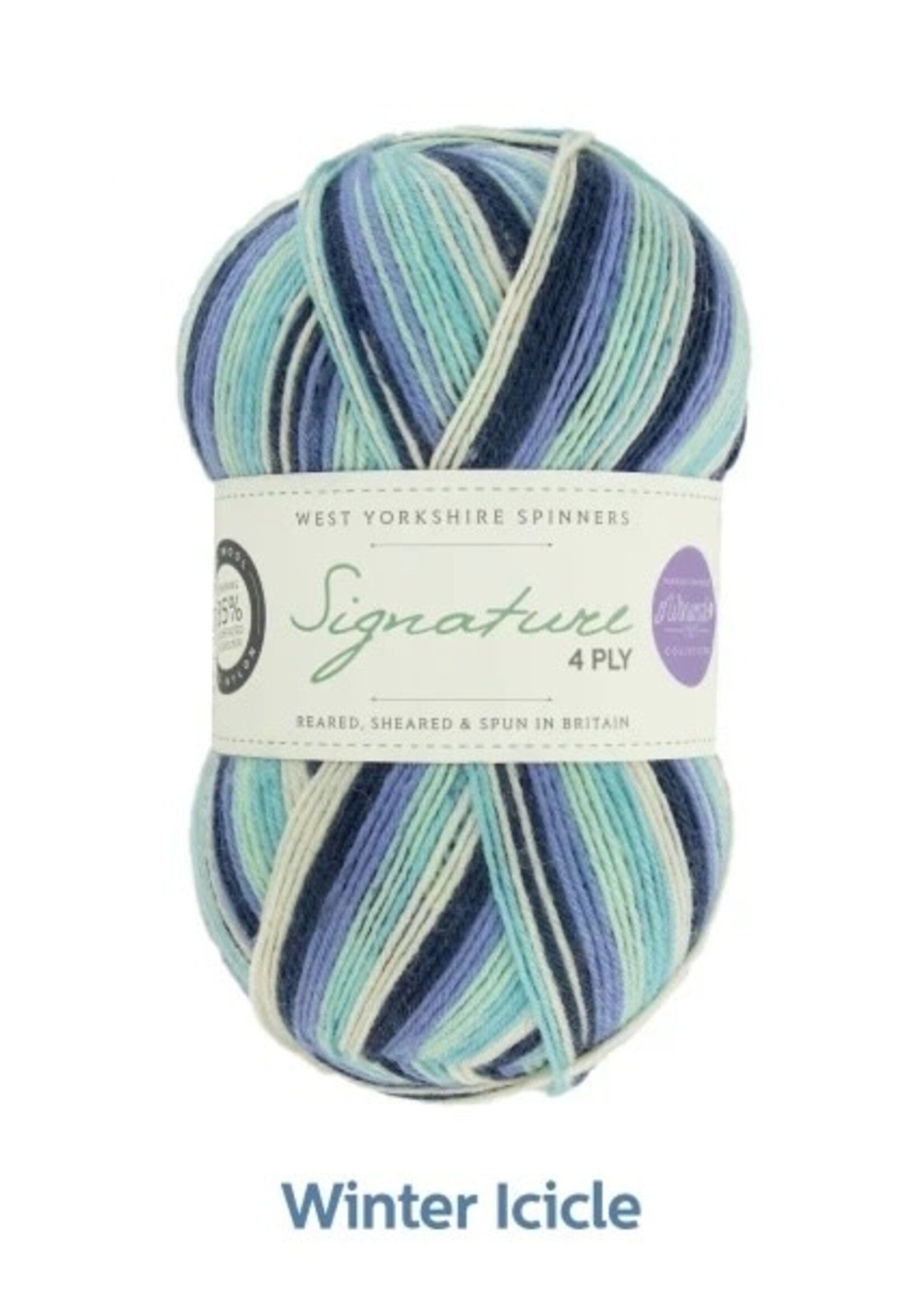 West Yorkshire Spinners WYS Signature 4 Ply - Winter Icicle 878