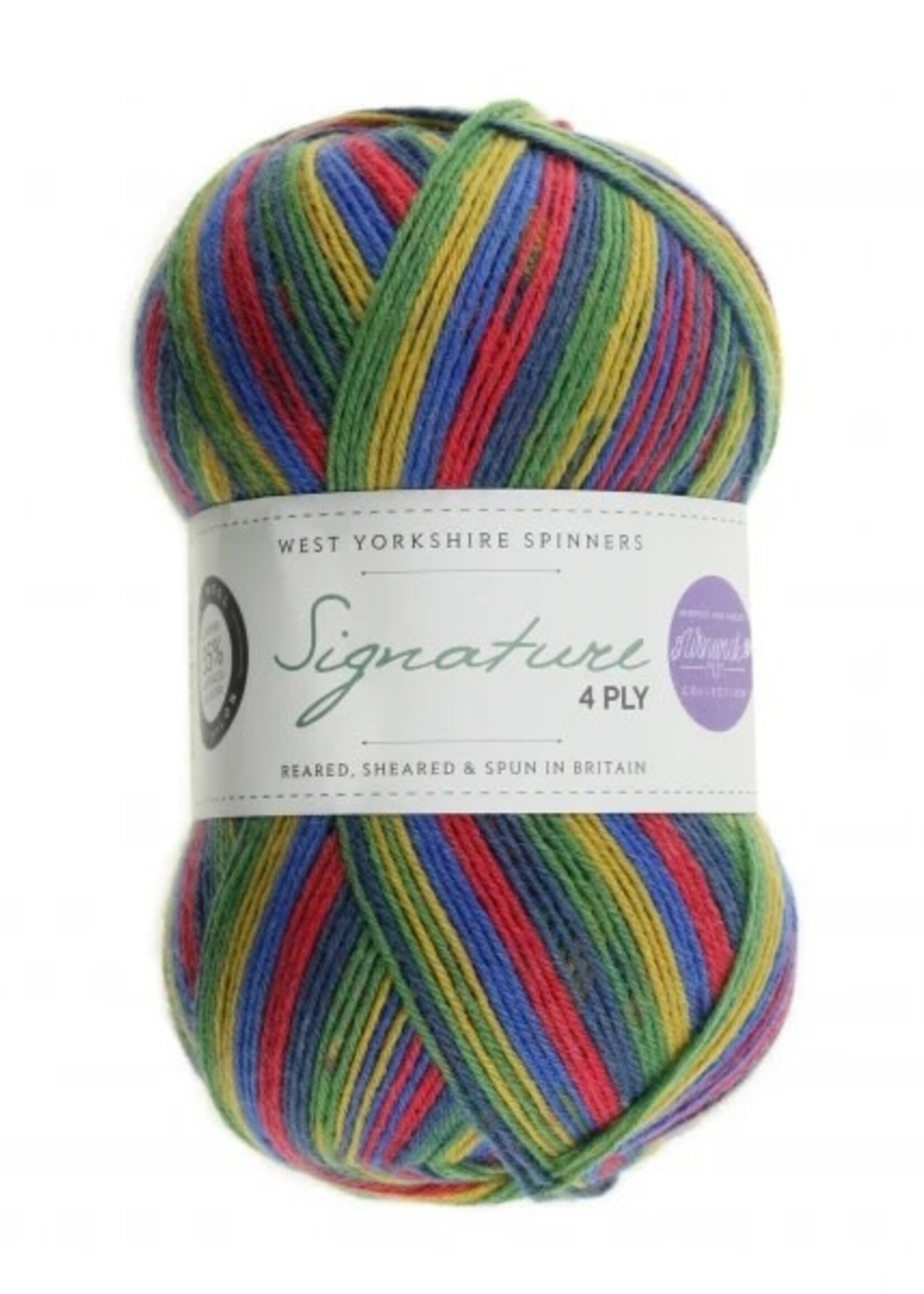 West Yorkshire Spinners WYS Signature 4 Ply - Brightside 874