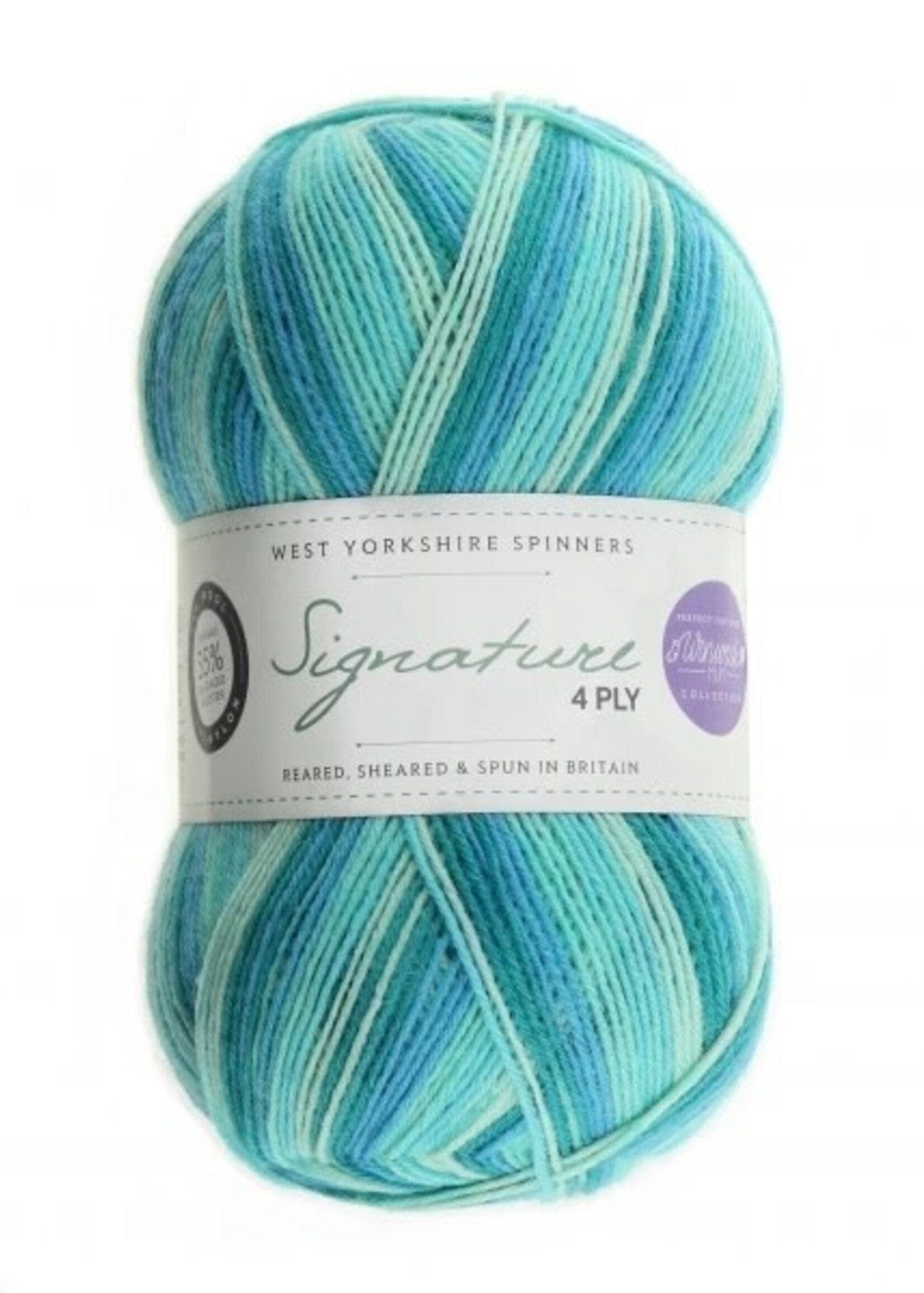 West Yorkshire Spinners WYS Signature 4 Ply - Seascape 873