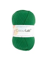 West Yorkshire Spinners WYS Colour Lab DK - Bottle Green 363
