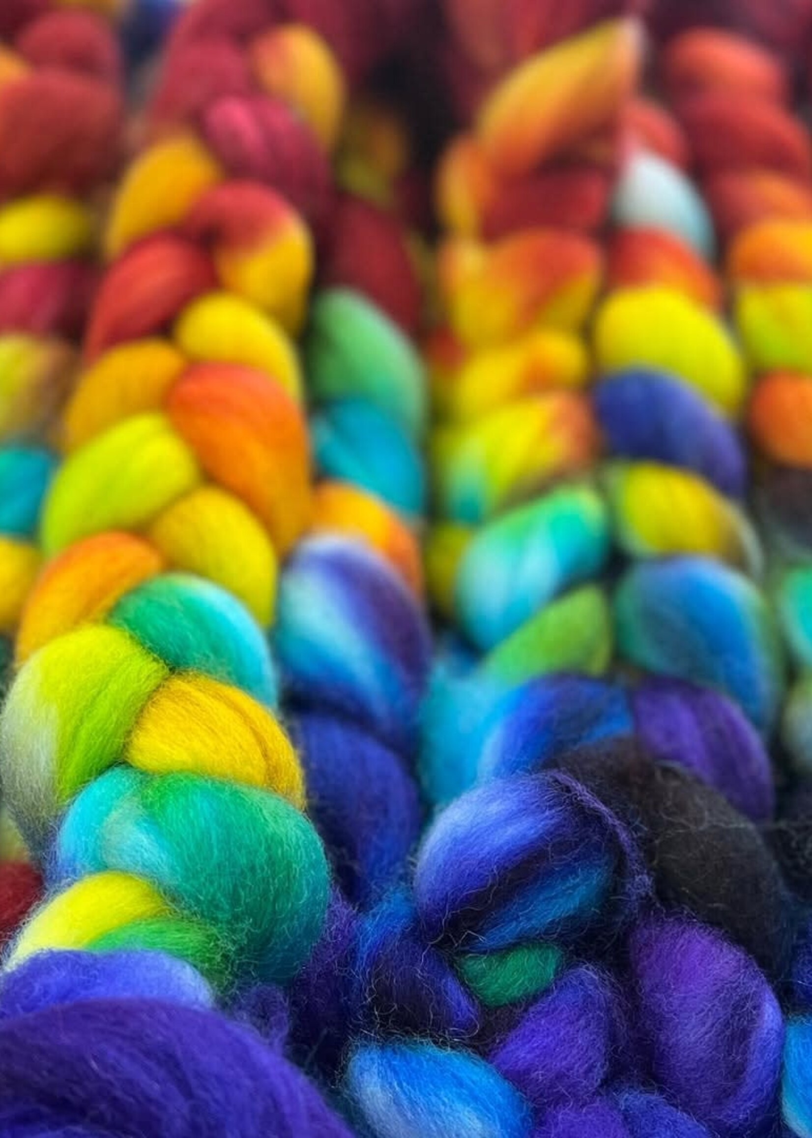 Fleece Artist FA Corriedale Sliver - Rainbow