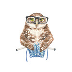Greeting Card - Owl Knitting