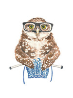 Greeting Card - Owl Knitting