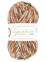 West Yorkshire Spinners WYS Signature Sparkle 4 ply - Yuletide 1208
