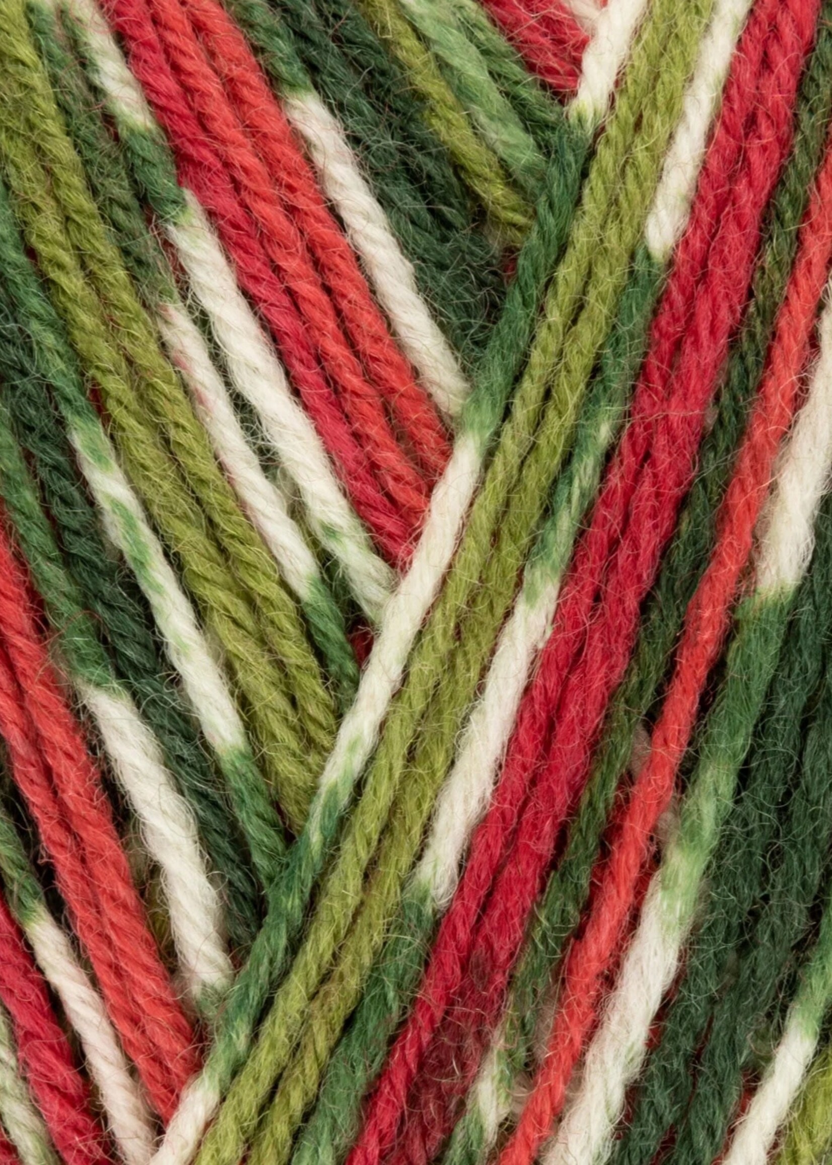 West Yorkshire Spinners WYS Signature  4 ply - Holly Berry 886