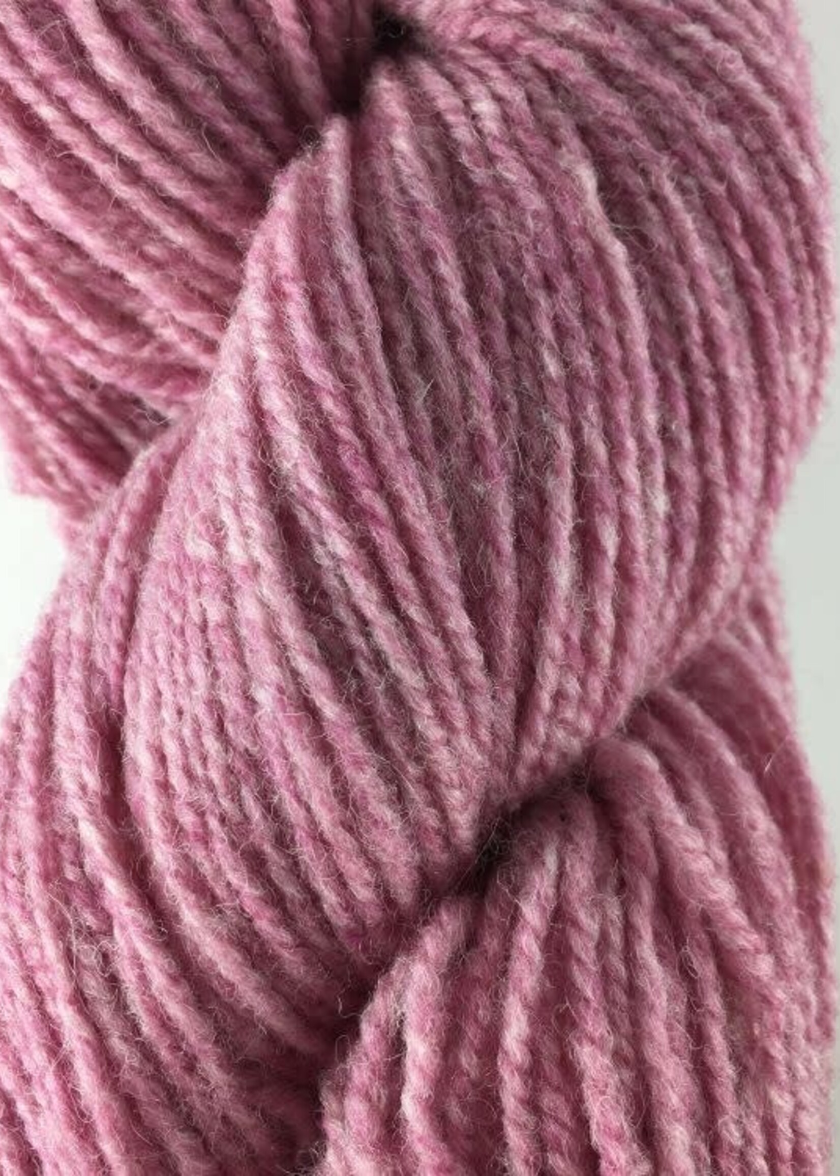 Briggs and Little BL Heritage Briar Rose