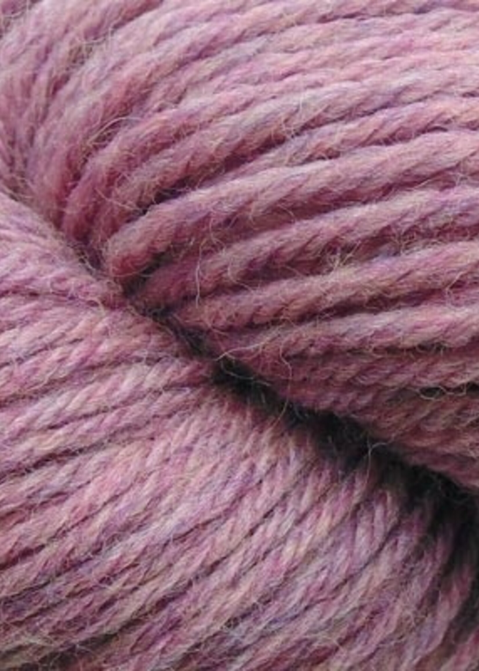 Cascade Cascade 220 1039 Helleborus