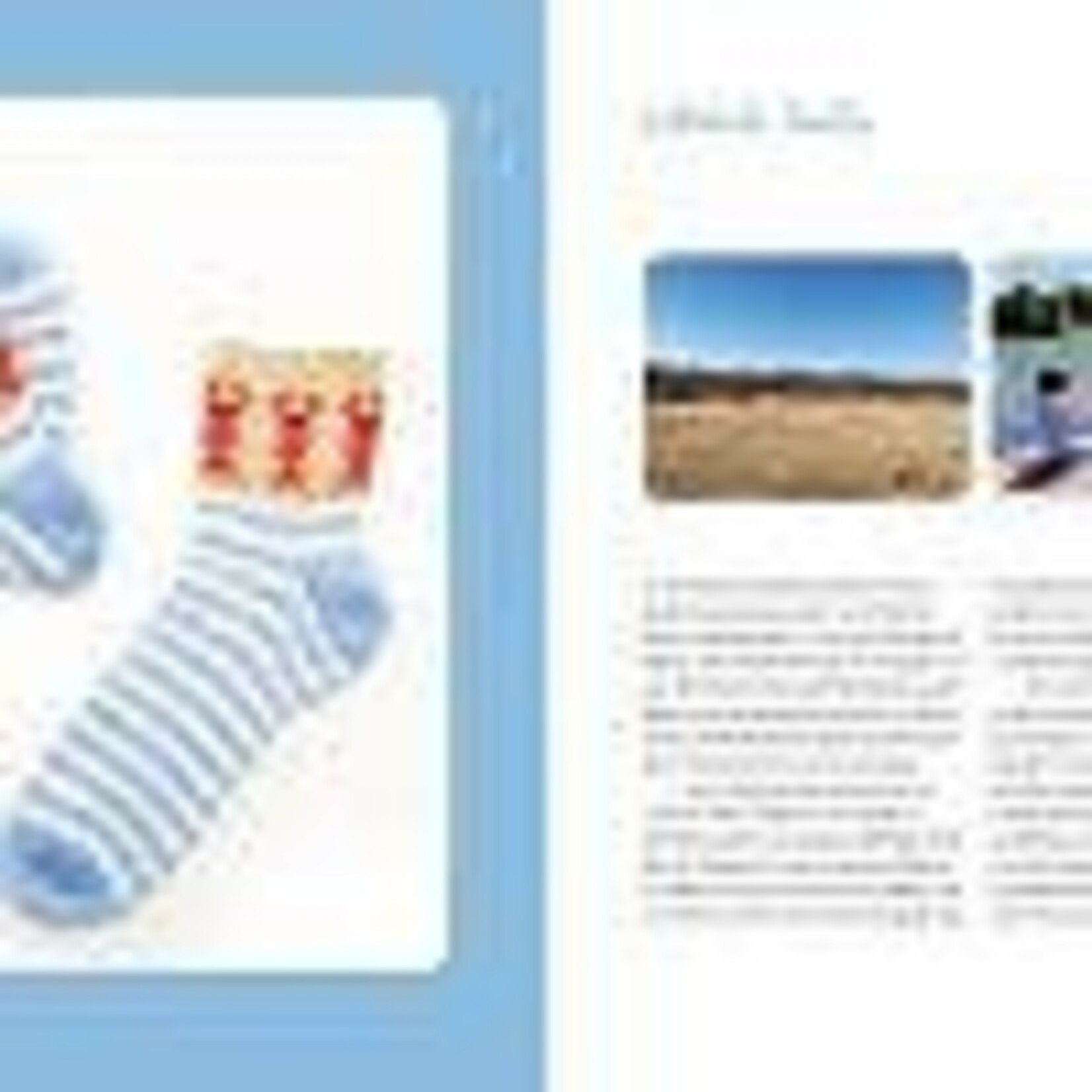 Book- The Sock Obsession - Supercool Socks to Knit and Show Off - by Summer Lee