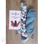 Thrummed Mittens Kit with Pattern - RDF(rain drizzle fog) + Jays Blue