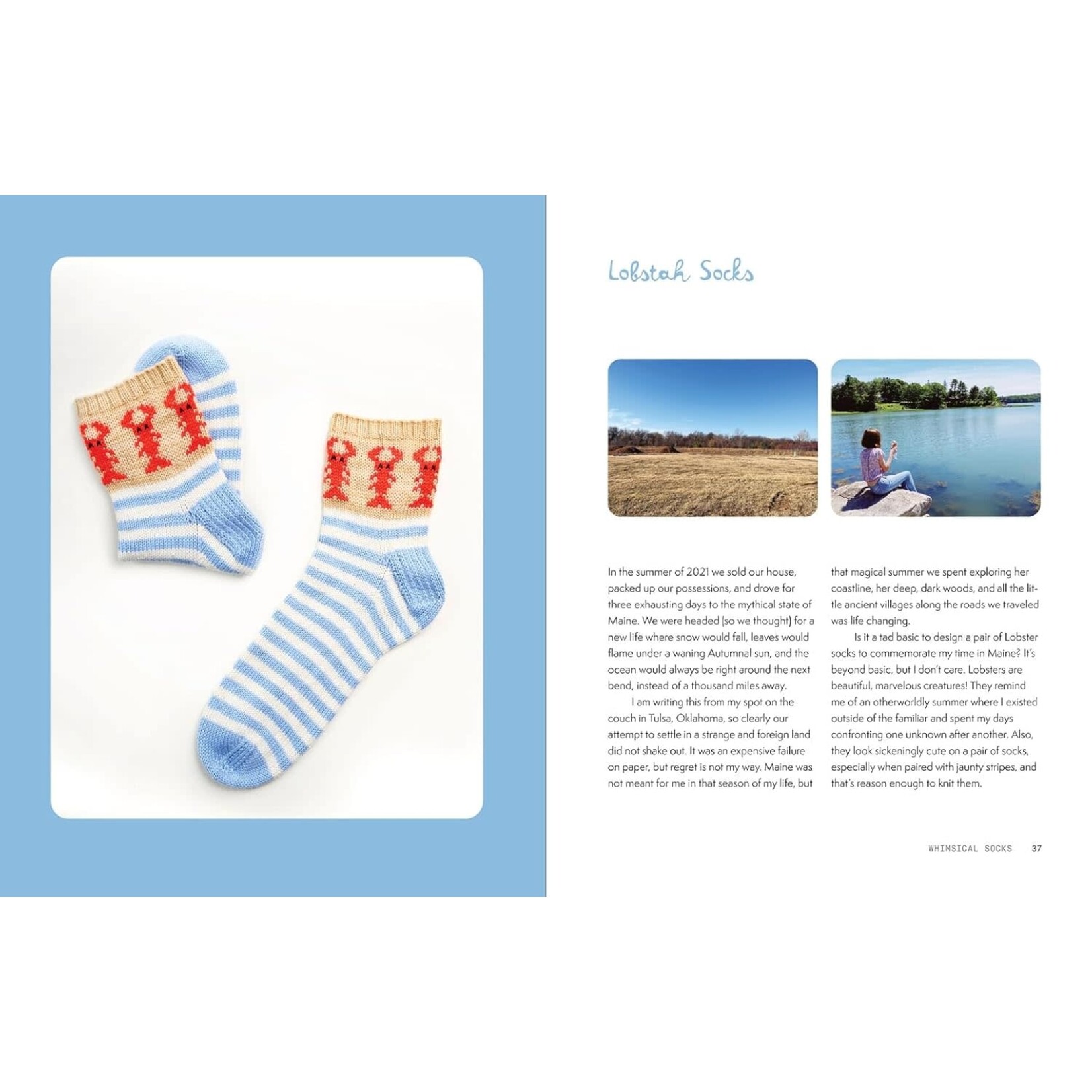 Book- The Sock Obsession - Supercool Socks to Knit and Show Off - by Summer Lee