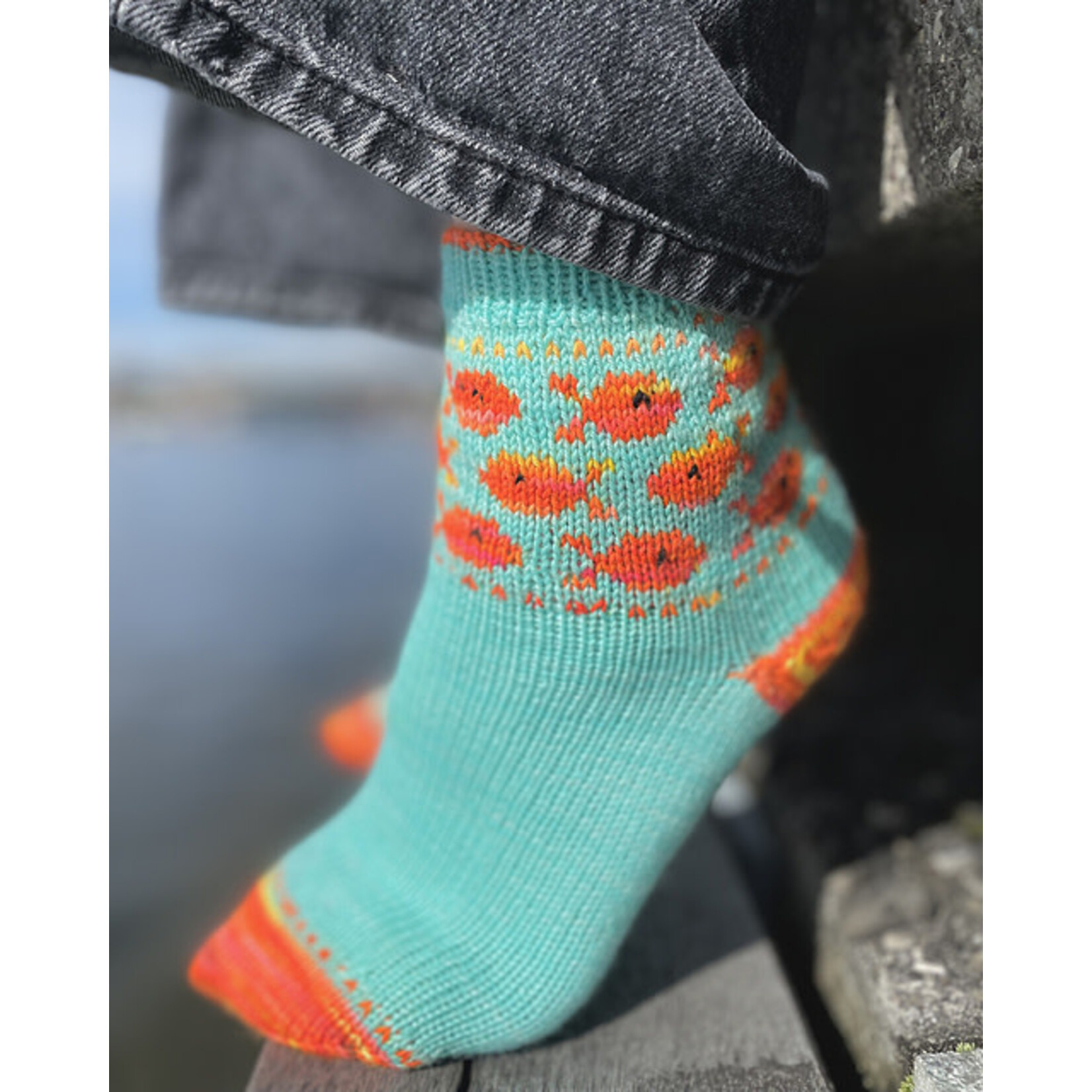 Book - Joyful Colorwork Socks by Charlotte Stone