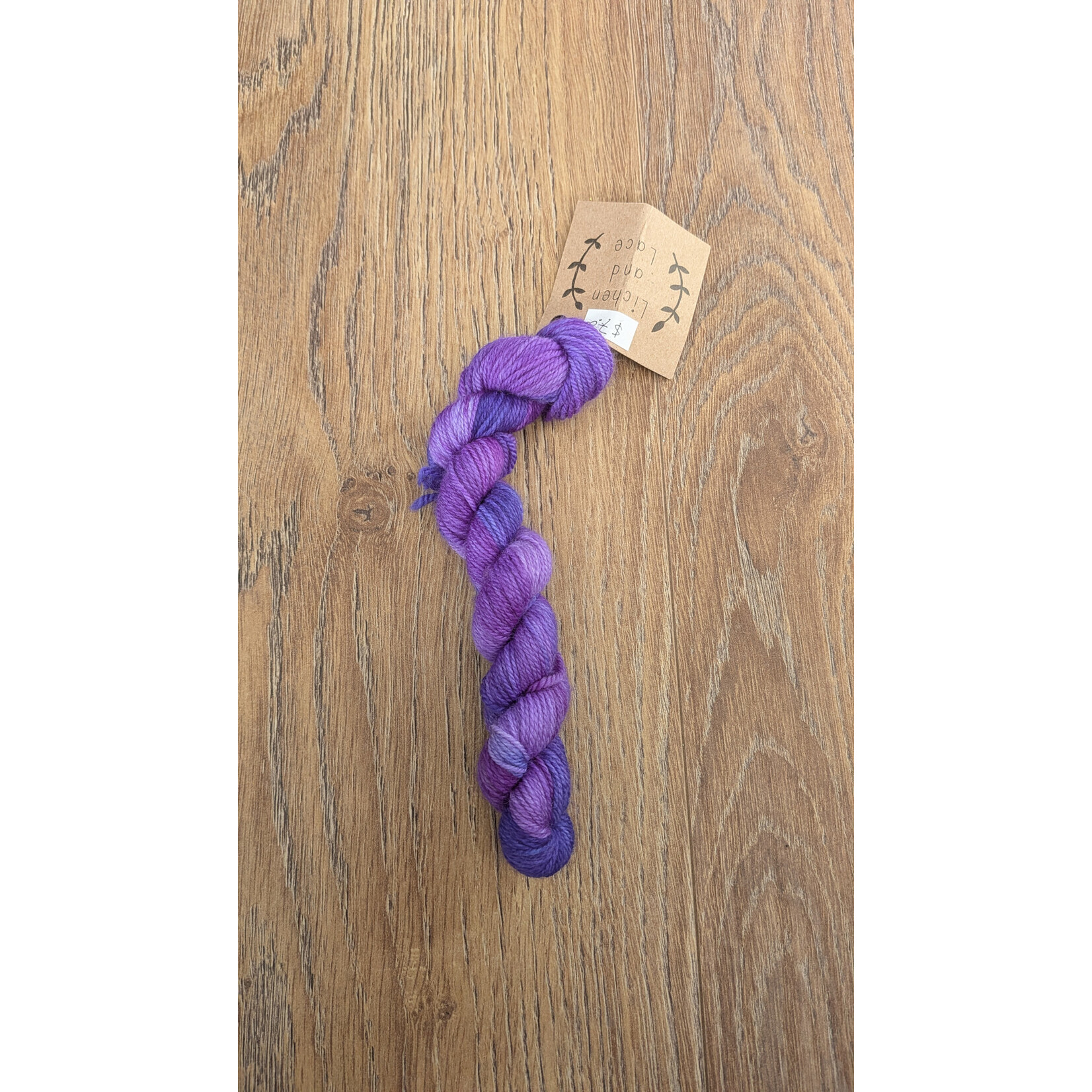 Lichen & Lace 80/20 Sock  Mini Skein - Grape Jelly