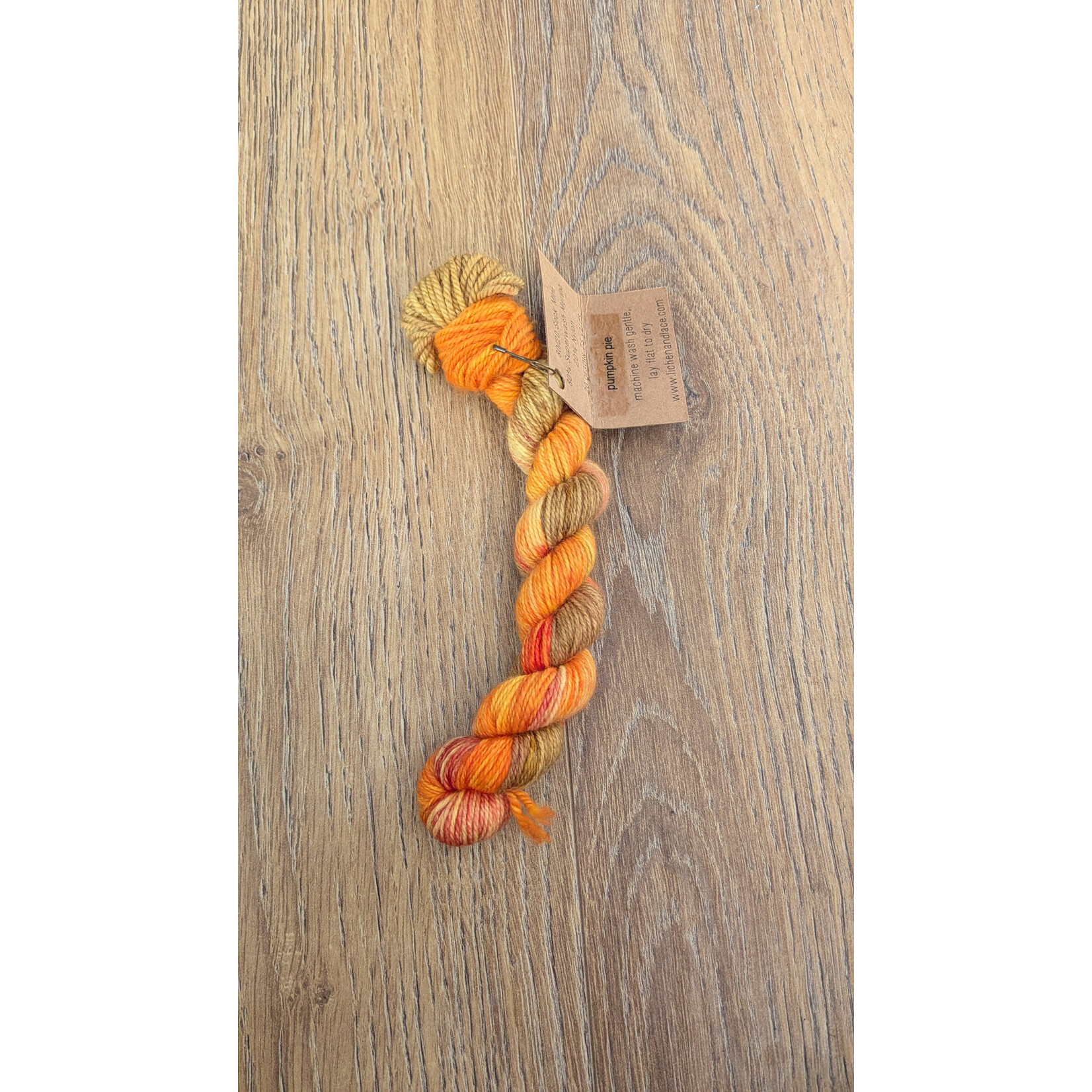 Lichen & Lace 80/20 Sock -  Mini Skein - Pumpkin Pie