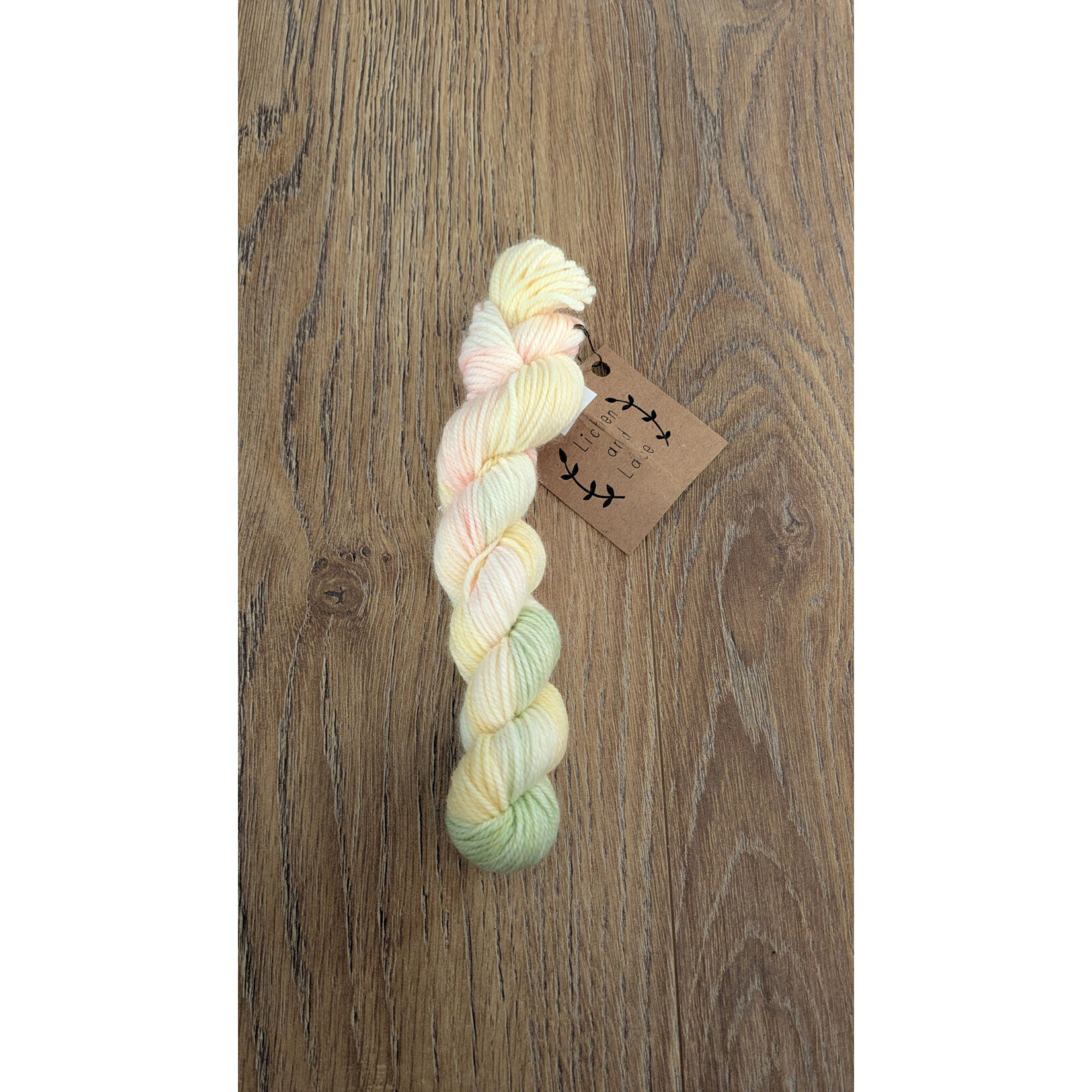Lichen & Lace 80/20 Sock -  Mini Skein - Misty Mints