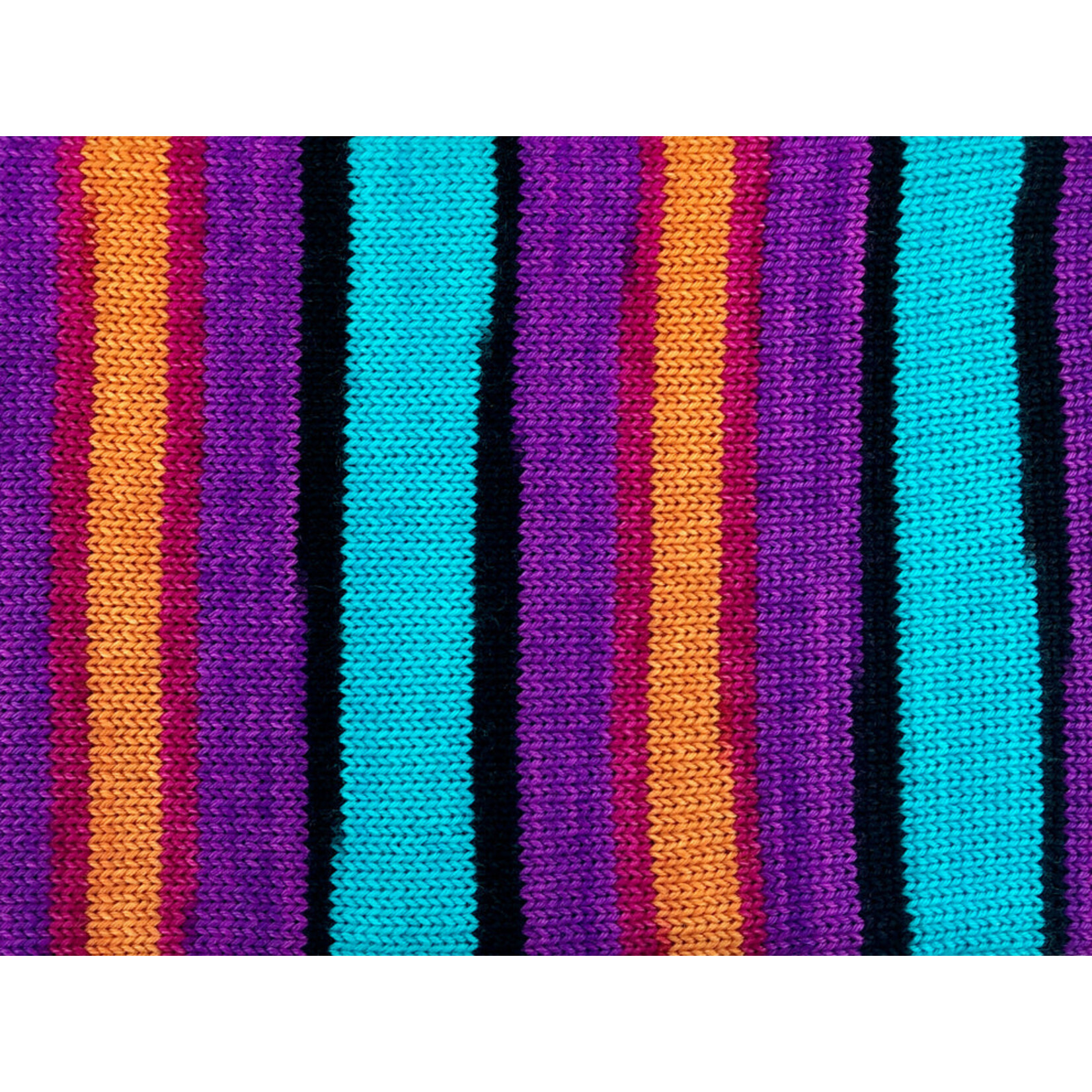 Turtlepurl - The Artist B-Side