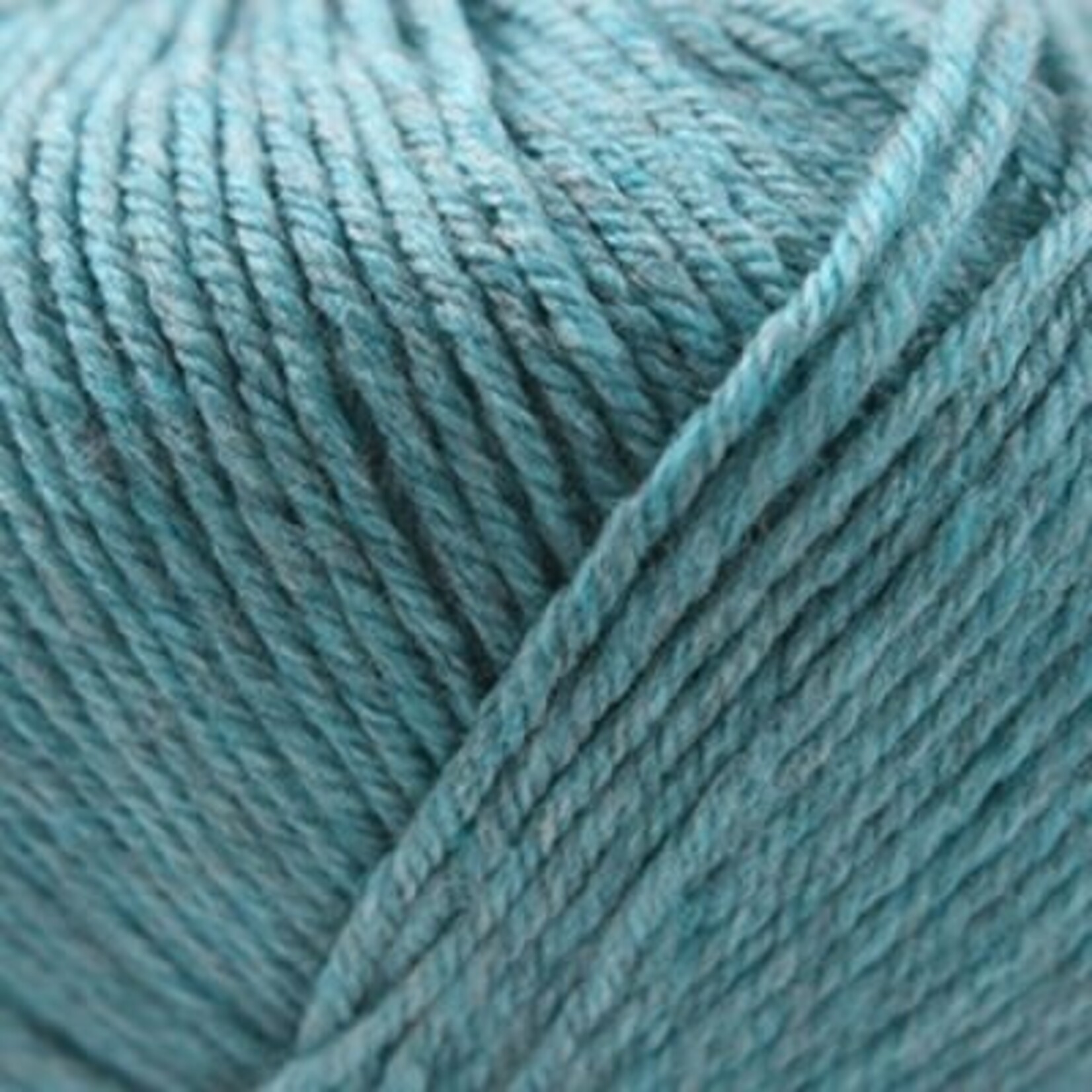 Cascade Cascade 220 Superwash  -  1910 Summer Sky Heather