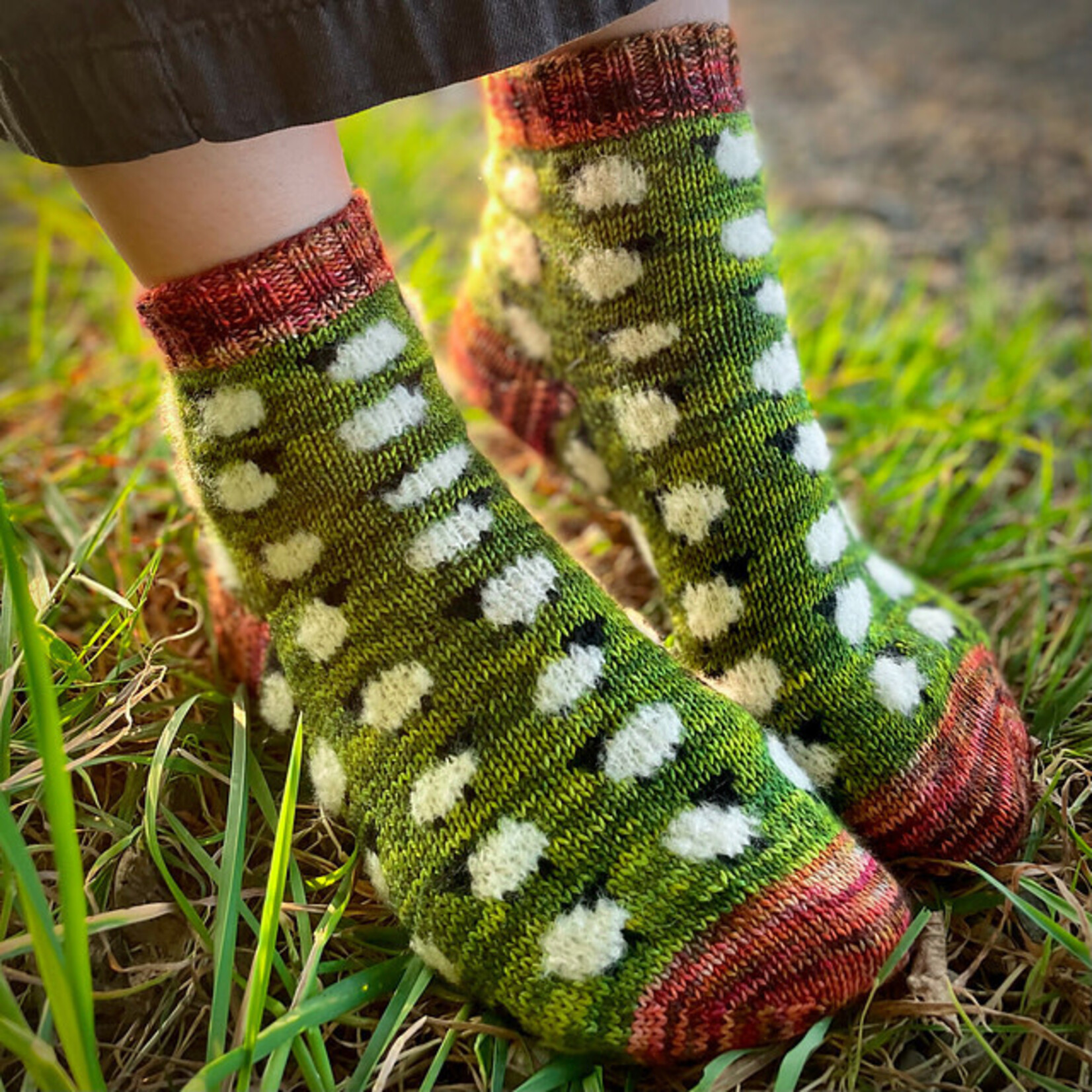 Book - Charming Colorwork Socks by Charlotte Stone