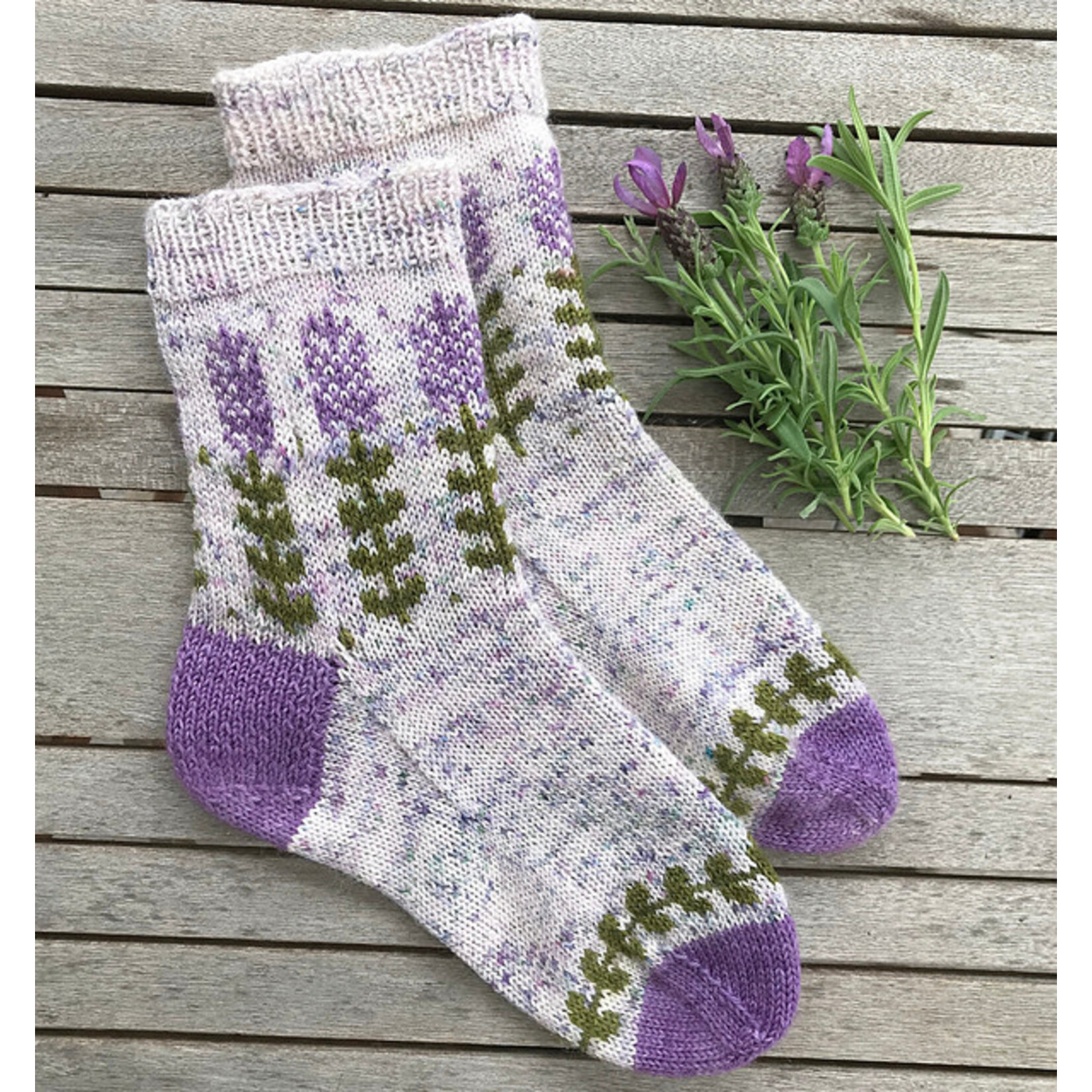 Book - Charming Colorwork Socks by Charlotte Stone